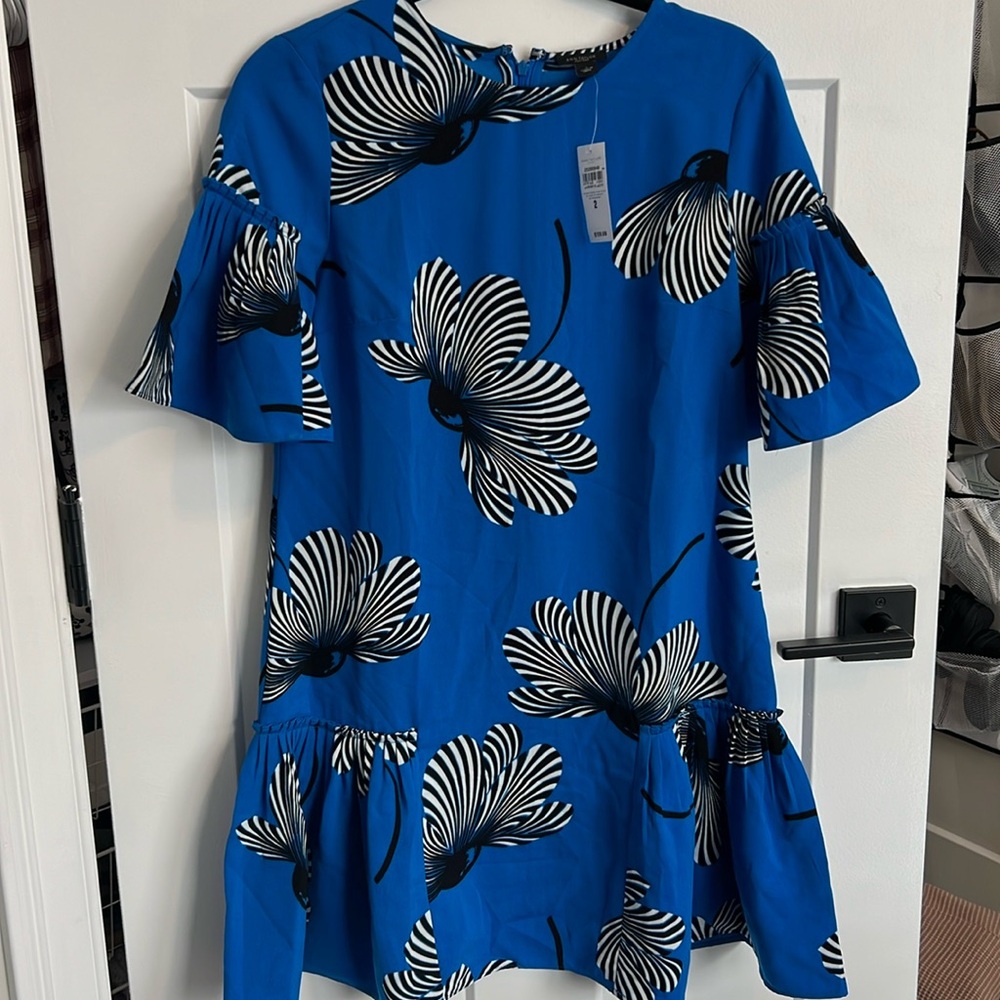 Ann Taylor Factory swing dress.